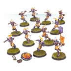 Blood Bowl: Elfheim Eagles